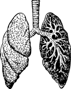 岡山県と北九州で結核の集団感染が発生！『結核』とは一体どのような病気なのか！？