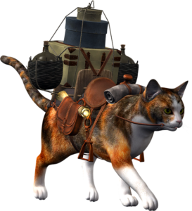猫から感染!?トキソプラズマ原虫が人を操るようになる!