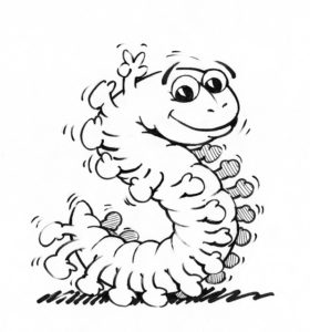 世界最大のムカデ！『ペルビアンジャイアントオオムカデ』が大迫力な件！