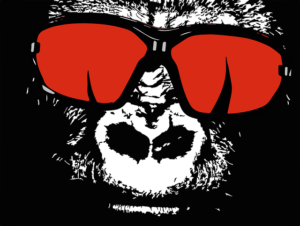 ゴリラは筋トレをしないのになぜマッチョなのか!?その理由は...