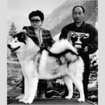 愛犬家連続殺人事件で関根が遺体を隠した方法が激ヤバ!?