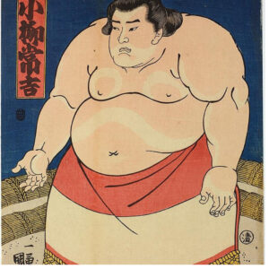 幕末に異種格闘技戦が行われていた！活躍したのは力士！？