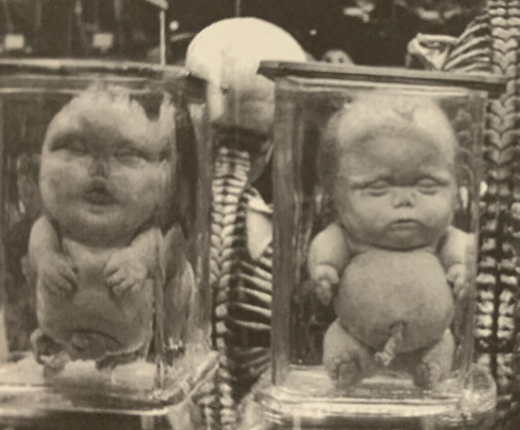 トラウマ確定 世界のヤバいスポット大全集 コロナッシングラボ