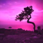 【トラウマ確定】世界のヤバいスポット大全集!