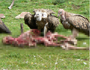 クレイジーすぎる世界の風習・奇習・儀式を紹介！