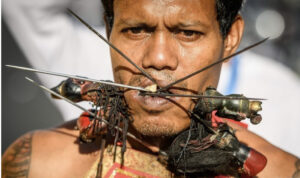 口や頬を串刺しに!?タイの過激な祭『ベジタリアン・フェスティバル』