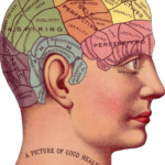 【雑学】知ってるようで知らない『脳』の秘密！