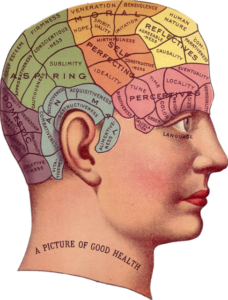 【雑学】知ってるようで知らない『脳』の秘密!