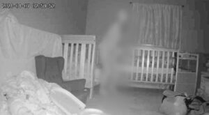 【驚愕】寝室に現れたヒト型モンスターの正体とは！？