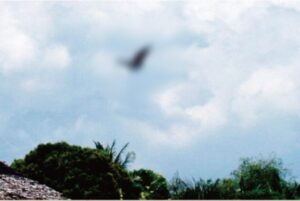 フィリピンに棲息する伝説の吸血鬼『アスワン』