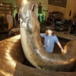 かつて地球上に存在していた異形・巨大な古代生物12選!