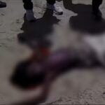 アフリカの海岸で人魚が打ち上げられた映像は本物?フェイク?
