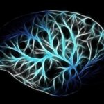 若返りの技術が完成すれば不老不死は実現するのか!?