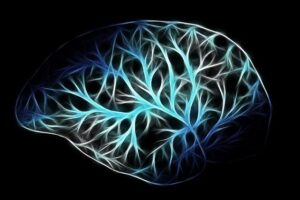 若返りの技術が完成すれば不老不死は実現するのか!?