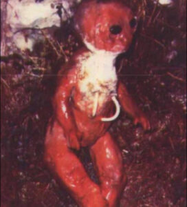 【UFO・異星人との激ヤバ遭遇事件ファイル】数々の物的証拠によって存在証明されている！？